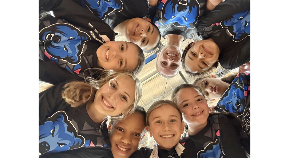 Volleyball 